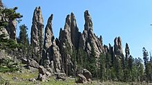 Black Hills -Needles-31.jpg