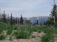 Boulder Mountains