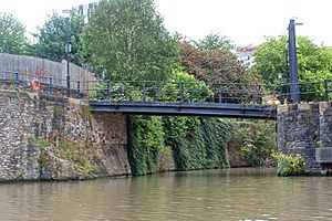 Bristol Castle Moat (6114199238)