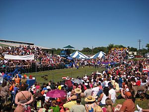 Buda Weiner Dog Races