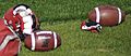 CFL footballs and helmet