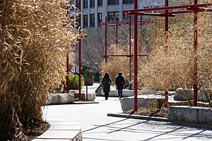 Chinatown Park, Boston