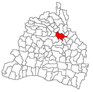 Location in Dolj County