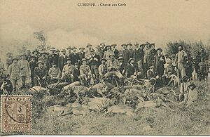 Curepipe Cerfs