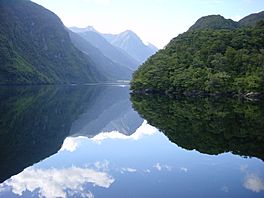 Doubtful Sound Clear.jpg