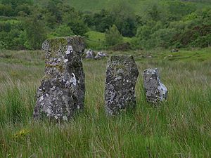 Drumskinny-stones.jpg