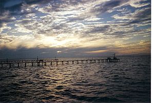 FROM THE PIER