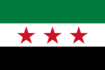 Flag of Syria 2011, observed