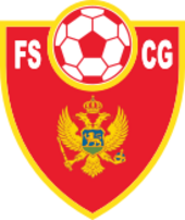 Shirt badge/Association crest