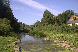 Grand western canal