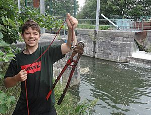 Magnet fishing catch