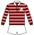 Manly-Warringah Jersey 1951