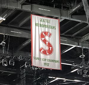 MetropolitansStanleyCupBanner