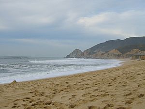 Montara State Beach in Montara