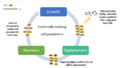 Multiplex Automated Genomic Engineering (MAGE)