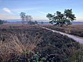 Netherlands, Veluwe (2), Epe, Renderklippen