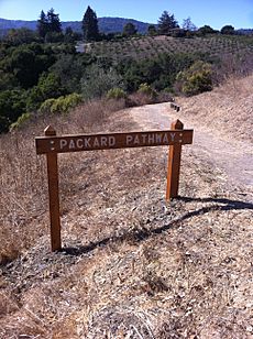 Packard Pathway Oct. 2010