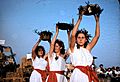 PikiWiki Israel 5423 Shavuot holiday