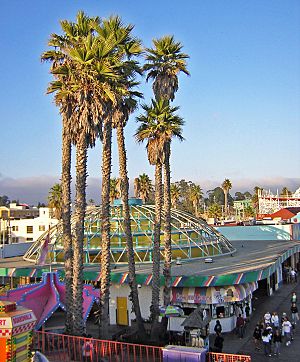 SantaCruz BeachBoardwalk Carousel palmsDSCN9371