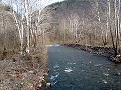 Seneca Creek - Mouth