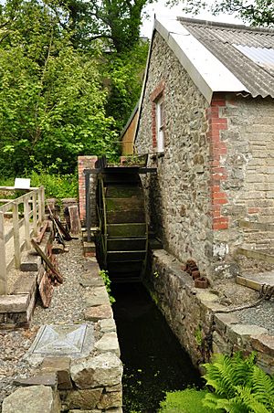 Solva Mill (3962).jpg