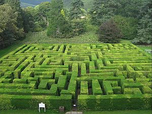 Traquair House Maze