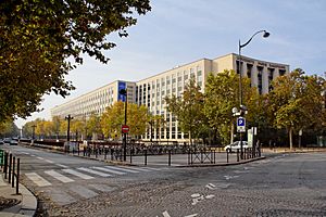 Université Paris-Dauphine