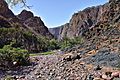 Wadi, Socotra Island (10941888296)