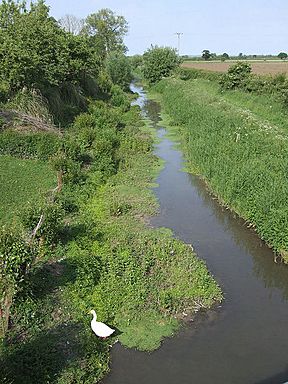 WestportCanal-by-Martin-Southwood.jpg