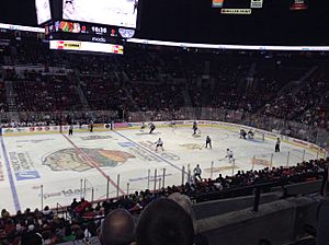 Winterhawks 01-24-16 01