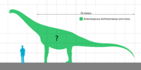 Antarctosaurus wichmannianus Scale.svg