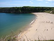 Barafundle Bay beach (May 2009)