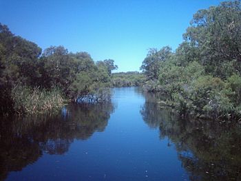 Canning river upstream kent st