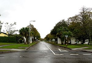 Carrigaline – Water Park Road