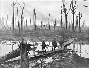 Chateau Wood Ypres 1917.jpg