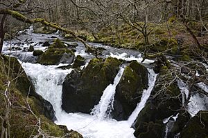 Colwith Force