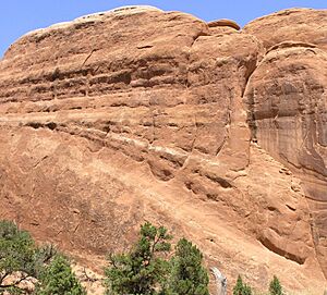 Crossbedding in Entrada Sandstone