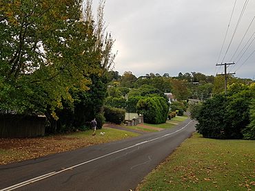 Curzon Street, Mount Lofty.jpg