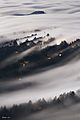 Fog over Mill Valley near Mt. Tamalpais