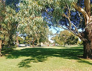 Fulham Open Space