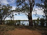 Hattah Lake.JPG