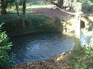 Ifield Brook