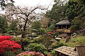 Japanese Tea Garden, San Francisco