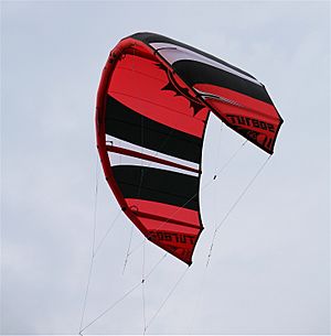 LEI-Kite