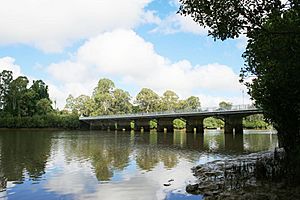 Lamington Bridge, from NE (2009).jpg