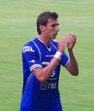 Mario Mandžukić