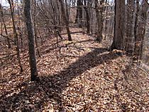 Old-stone-fort-tennessee-south-wall