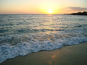 Rancho Luna Beach