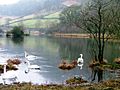 Rydal Water