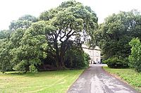 Scolton Manor - geograph.org.uk - 13744